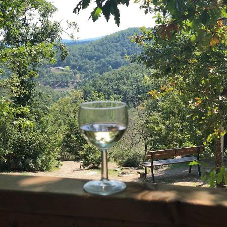 Safaritent Glamping Orlando In Chianti Cavriglia Luaran gambar